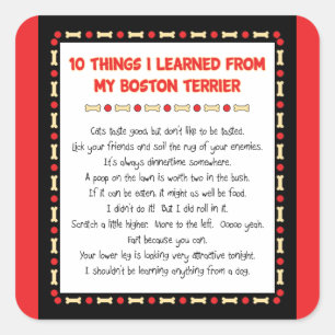 Funny Things I Learned From My Boston Terrier Square Sticker