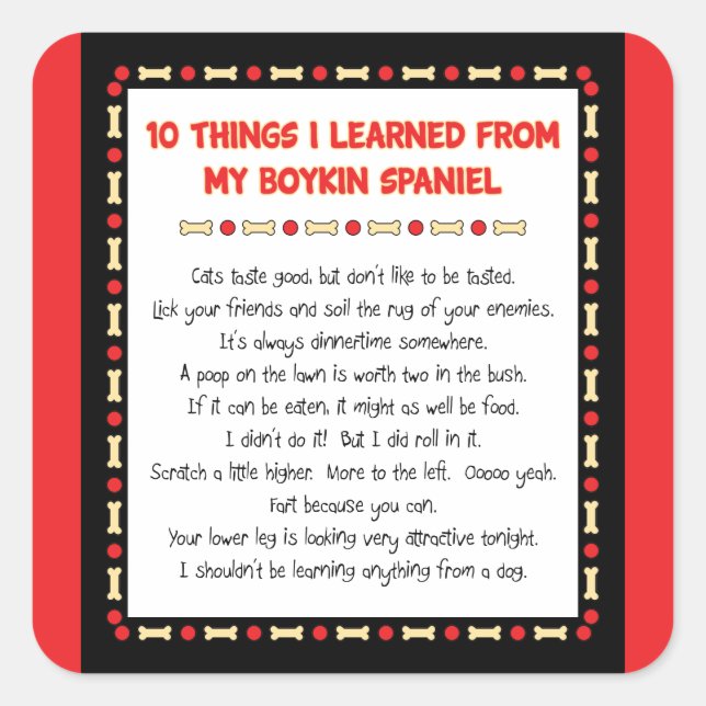 Funny Things I Learned From My Boykin Spaniel Square Sticker (Front)
