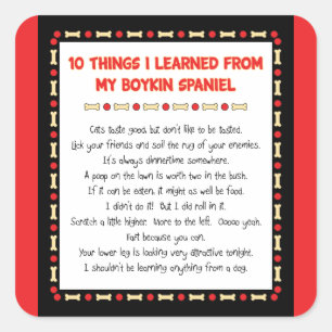 Funny Things I Learned From My Boykin Spaniel Square Sticker