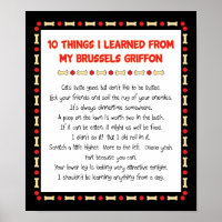 Funny Things I Learned From My Brussels Griffon