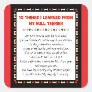 Funny Things I Learned From My Bull Terrier Square Sticker