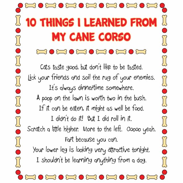 Funny Things I Learned From My Cane Corso Standing Photo Sculpture (Front)