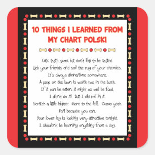 Funny Things I Learned From My Chart Polski Square Sticker