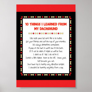 Funny Things I Learned From My Dachshund Poster