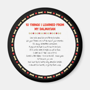 Funny Things I Learned From My Dalmatian Magnet