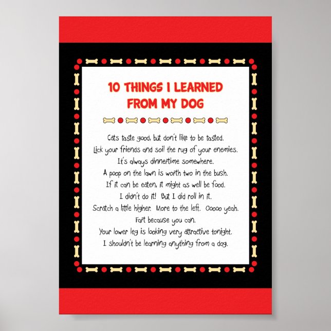 Funny Things I Learned From My Dog Poster (Front)