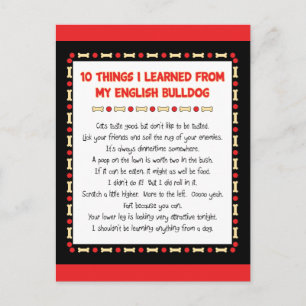 Funny Things I Learned From My English Bulldog Postcard