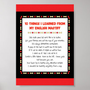 Funny Things I Learned From My English Mastiff Poster