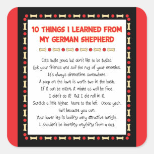 Funny Things I Learned From My German Shepherd Square Sticker