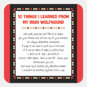 Funny Things I Learned From My Irish Wolfhound Square Sticker