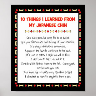Funny Things I Learned From My Japanese Chin Poster