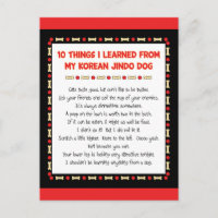 Funny Things I Learned From My Korean Jindo Dog