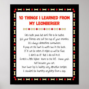 Funny Things I Learned From My Leonberger Poster