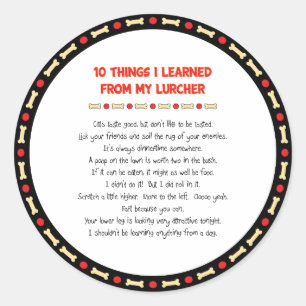 Funny Things I Learned From My Lurcher Classic Round Sticker