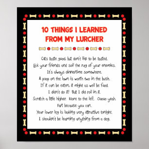Funny Things I Learned From My Lurcher Poster