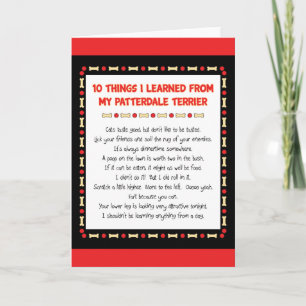 Funny Things I Learned From My Patterdale Terrier Card
