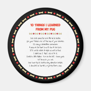 Funny Things I Learned From My Pug Magnet