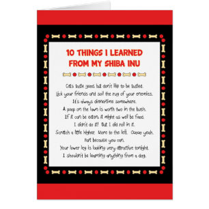 Funny Things I Learned From My Shiba Inu