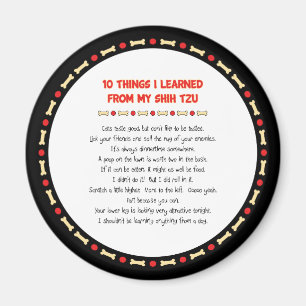 Funny Things I Learned From My Shih Tzu Magnet