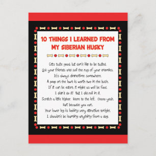 Funny Things I Learned From My Siberian Husky Postcard