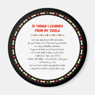 Funny Things I Learned From My Vizsla Magnet