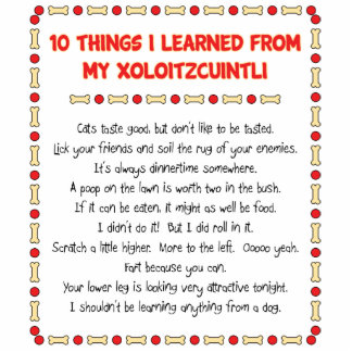 Funny Things I Learned From My Xoloitzcuintli Standing Photo Sculpture