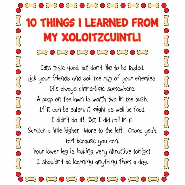 Funny Things I Learned From My Xoloitzcuintli Standing Photo Sculpture (Front)