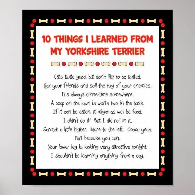 Funny Things I Learned From My Yorkshire Terrier Poster (Front)