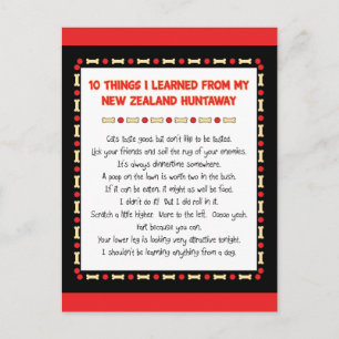Funny Things I Learned From New Zealand Huntaway Postcard