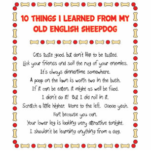 Funny Things I Learned From Old English Sheepdog Standing Photo Sculpture
