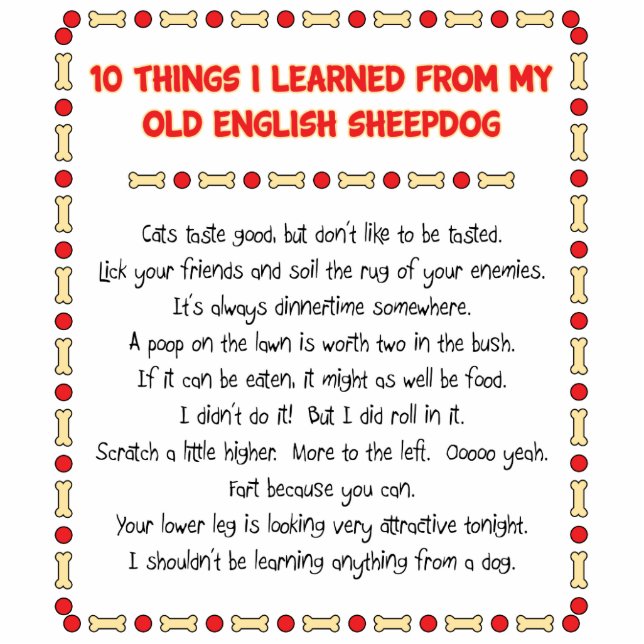 Funny Things I Learned From Old English Sheepdog Standing Photo Sculpture (Front)