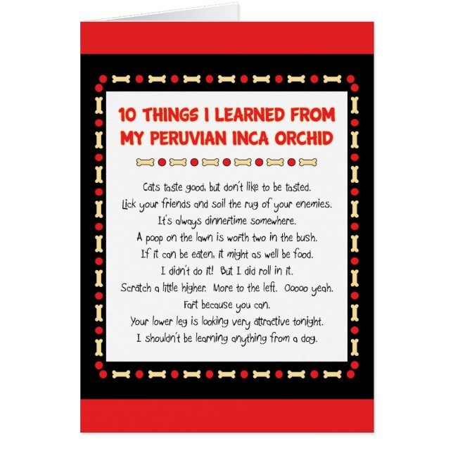 Funny Things I Learned From Peruvian Inca Orchid (Front)