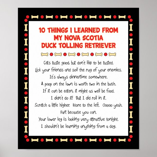 Funny Things Learned From Nova Scotia Duck Toller Poster (Front)