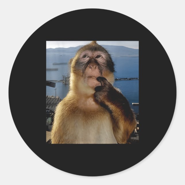 Funny Thinking Monkey Meme Curious Ape Brainrot Gi Classic Round Sticker (Front)