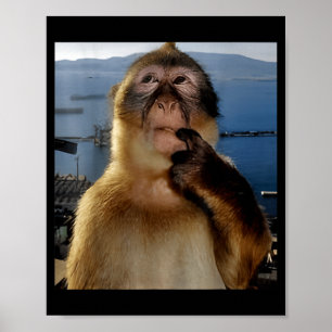 Funny Thinking Monkey Meme Curious Ape Brainrot Gi Poster