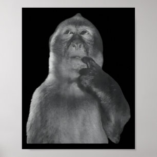 Funny Thinking Monkey Meme Curious Ape Brainrot  Poster