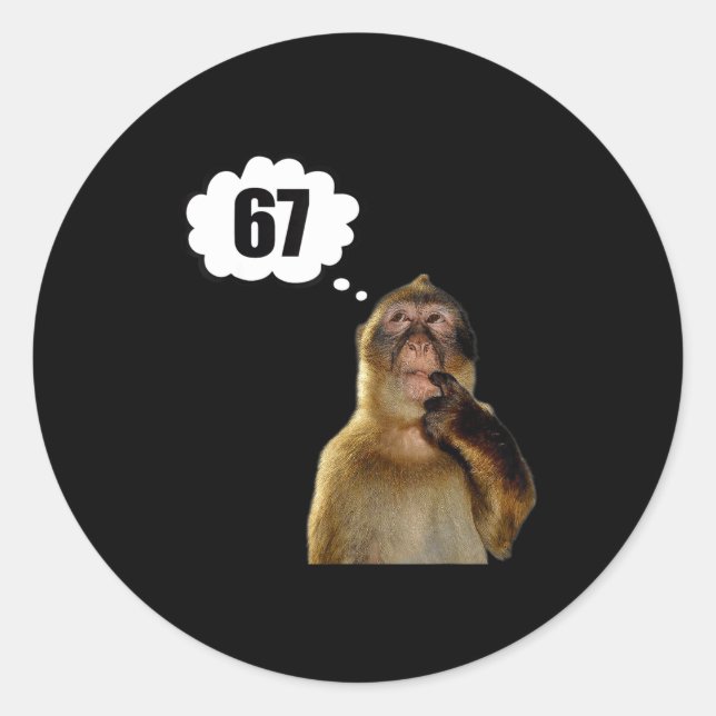 Funny Thinking Monkey Meme Six Seven 6 7 Meme  Classic Round Sticker (Front)