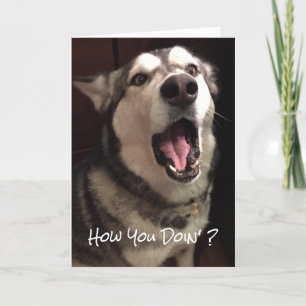 Funny Thinking Of You Alaskan Malamute Dog Photo Card