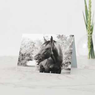 Funny Thinking of You Horse Card