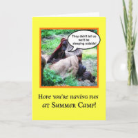 Funny Thinking of You, Summer Camp, Orangutans
