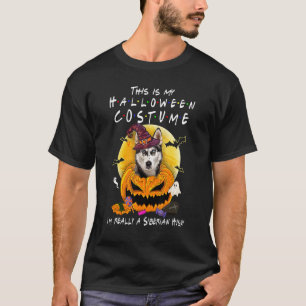 Funny This Is My Halloween Costume I'm Really A Si T-Shirt