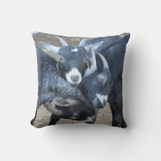 Funny Three Goats In A Head Lock Cushion (Front)