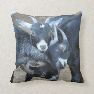 Funny Three Goats In A Head Lock Cushion