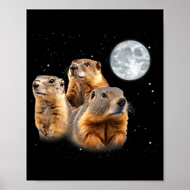 Funny Three Groundhog Moon Groundhog Day  Poster (Front)