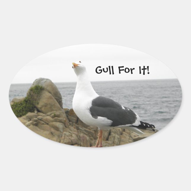 Funny Tilt Head Seagull Oval Sticker (Front)