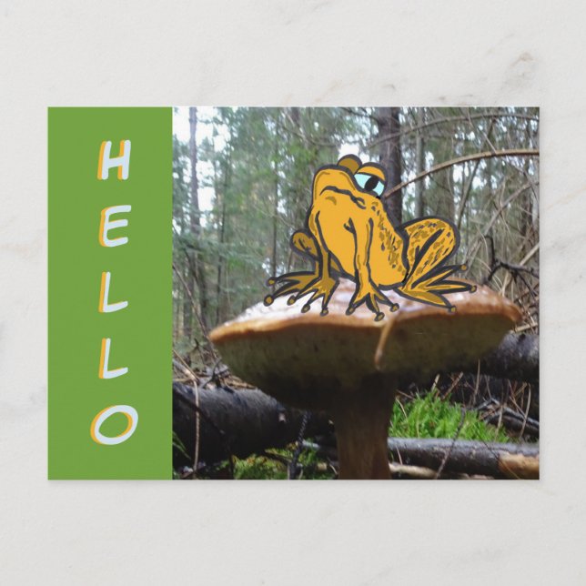 Funny Toad Cartoon on Toadstool HELLO Postcard (Front)
