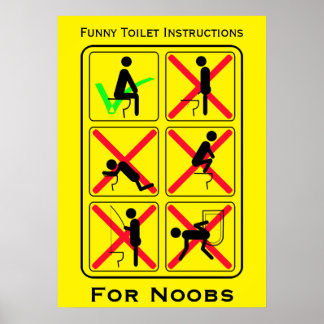 Funny Toilet Instructions Poster