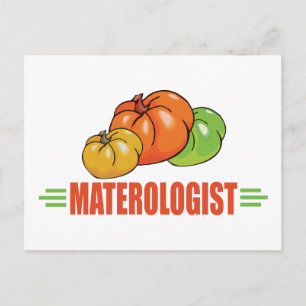 Funny Tomatoes Postcard