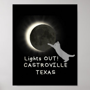 Funny Total Solar Eclipse Cat Castroville Poster