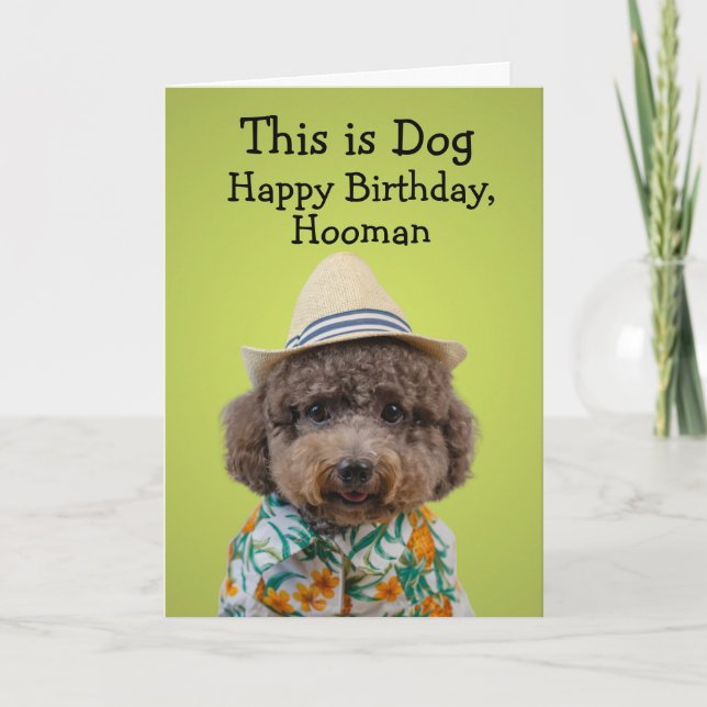 Funny toy poodle birthday card (Front)